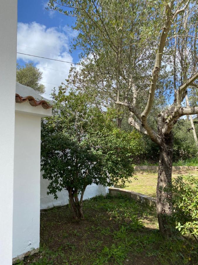 Casa Vacanza Porta Smeralda Olbia Exterior photo