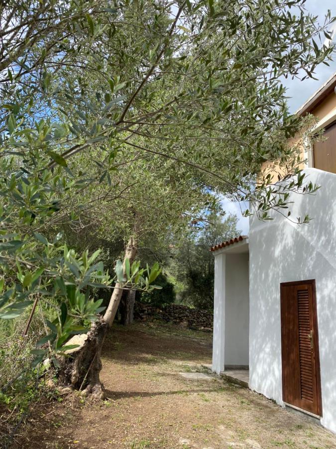 Casa Vacanza Porta Smeralda Olbia Exterior photo